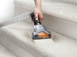 Hoover Windtunnel 3 Pro Pet Bagless Upright Vacuum, UH70935 - Corded N14