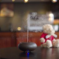 CNUALV Ultrasonic Ion Humidifier Purifier Aroma Air Aromatherapy Essential Oil Diffuser Ionizer for Bedrooms Living... N7
