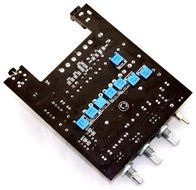 250W+100W TPA3116 2.1 HIFI Stereo Class D Amplifier amp Board 18752030