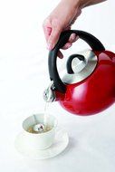 Calphalon 2-Quart Stainless Steel Tea Kettle with Whistle N10