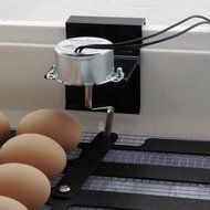 HovaBator Advanced Egg Incubator Combo Kit: includes incubator, fan kit, egg turner, digital thermometer/hygrometer N3
