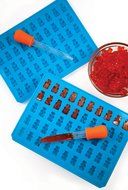 2 Pack Premium Gummy Bear Molds (makes 100 bears!) *PLUS 2 BONUS easy droppers AND Recipe Ebook with QuickStart...