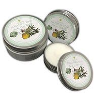 Tea Tree Air Purifier Natural KIWI ✔ Natural Air Purifier Cream, Kills Mold, Attacks Mildew, Air Freshener, Air... N3