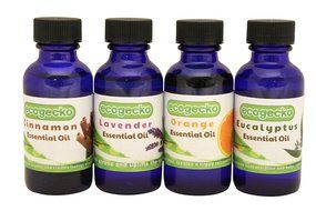 EcoGecko 100% Pure Natural Essential Oils, 4 Pack, Use with EcoGecko Air Revitalizers