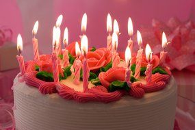 Chic Cuisine 17-piece Cake Decorating Tips Set Incl. 16 DURABLE Professional Quality SEAMLESS Stainless Steel...
