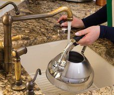 Extra Sturdy Surgical Stainless Steel 2.75 Quart Bellemain Whistling Kettle with Aluminum Layered Bottom N2