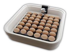 HovaBator Advanced Egg Incubator Combo Kit: includes incubator, fan kit, egg turner, digital thermometer/hygrometer N4