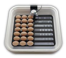 HovaBator Advanced Egg Incubator Combo Kit: includes incubator, fan kit, egg turner, digital thermometer/hygrometer N5