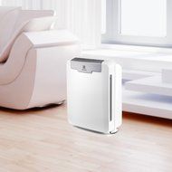 Electrolux PureOxygen Allergy 300 HEPA 4-Stage Filtration Air Cleaner / Air Purifier, White N3