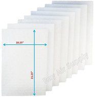 Respicaire CG MicroCLean 95 Air Cleaner Replacement Filter Pads 20x24 Refills (4 Pack)