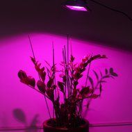 LVJING Led Grow Light Bulb, Hanging Flood light Kit, Waterproof, for Indoor Garden Greenhouse Hydroponic Plants... N35
