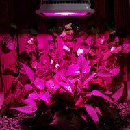 LVJING Led Grow Light Bulb, Hanging Flood light Kit, Waterproof, for Indoor Garden Greenhouse Hydroponic Plants... N40