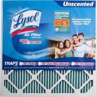 Lysol Air Filter Triple Protection 20 x 20 x 1 in. - Pack of 2