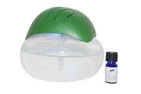 EcoGecko Green Leaf Air Cleaner &amp; Revitalizer Essential Oil Diffuser with 10ml Lavender Oil N3