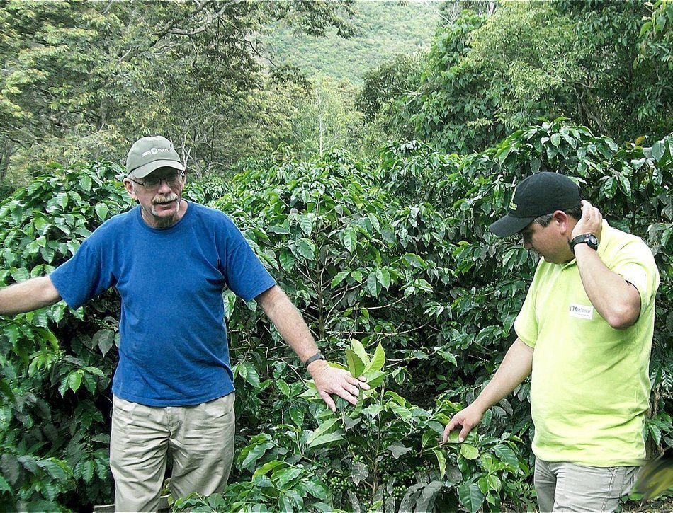 Don Gringo&acute;s Coffee Beans French (Dark) Roast Peruvian Andes&acute; Gourmet Arabica Selection. Single Origin Blend,... N9