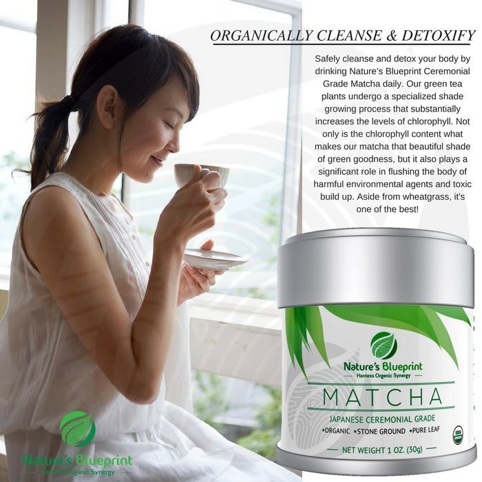 Nature's Blueprint Organic Japanese Matcha Green Tea Powder (1 oz Tin) - Ceremonial Grade N9