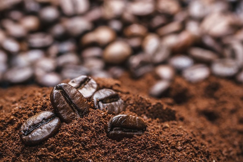 Jungle Coffee Ground | Costa Rican Organic Dark Roast Ground (1 lb) - Gourmet Best Ground Coffee 1 Pound Fresh... N2