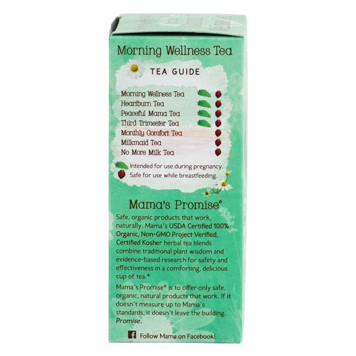 Earth Mama Angel Baby Organic Morning Wellness Tea, 16 Teabags/Box (Pack of 3) N13