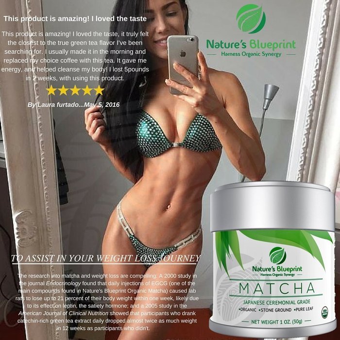 Nature's Blueprint Organic Japanese Matcha Green Tea Powder (1 oz Tin) - Ceremonial Grade N22
