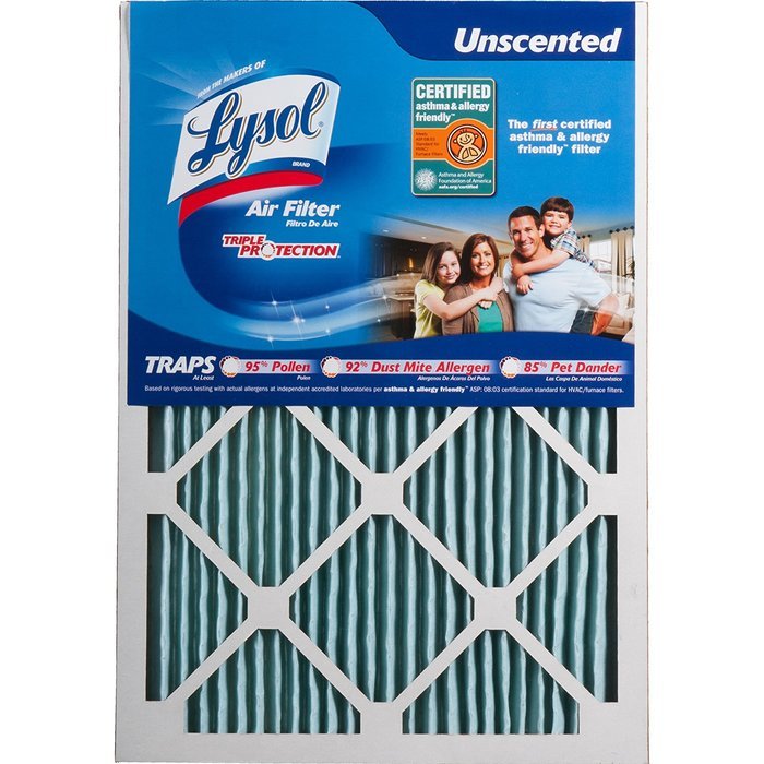 Lysol Triple Protection Furnace/AC Air Filter, 12" x 24" x 1", 2-Pack N24