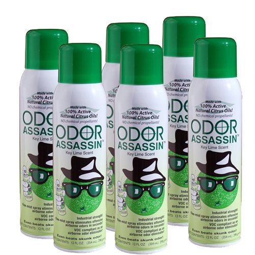 Odor Assassin 12 oz. Air Freshener Fine Mist Spray, Key Lime - 6 Pack