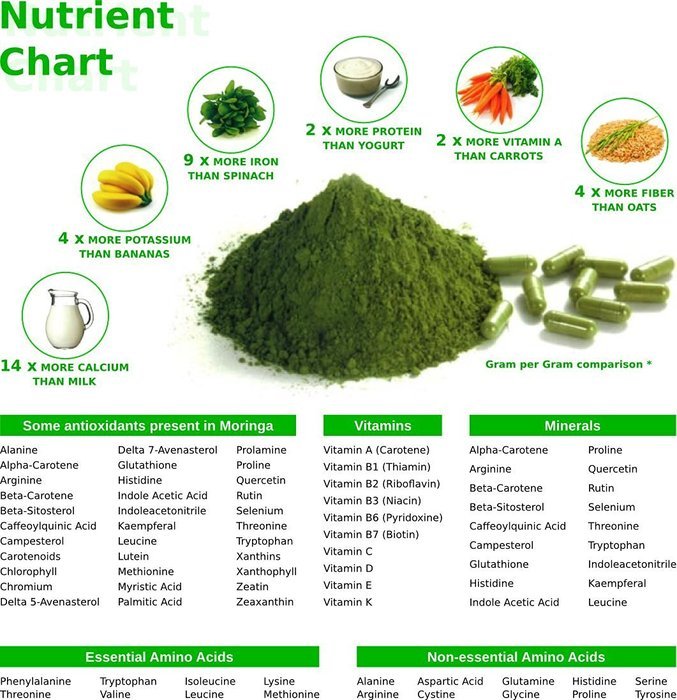 30 Moringa + Green Tea + Maca Root SuperFood Tea Bags | Original Blend &bull; Top Nutrition & Benefits N2
