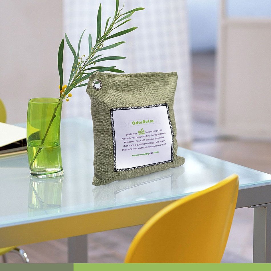 All Natural Air Freshener Air Purifier Controls Moisture and Odor