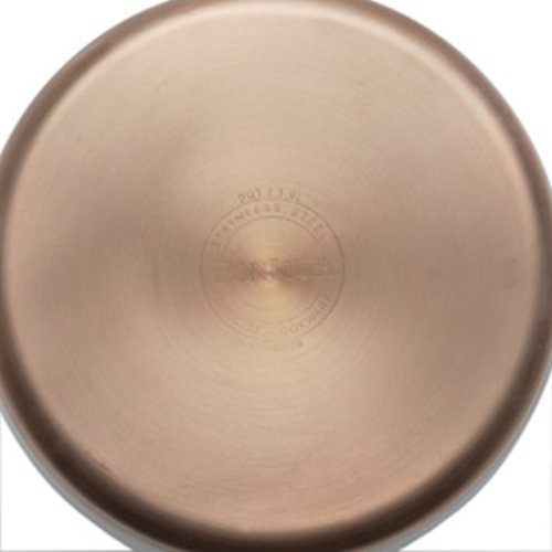 BonJour Tea Stainless Steel and Copper-Base Gooseneck Teapot / Teakettle, 2-Quart N3