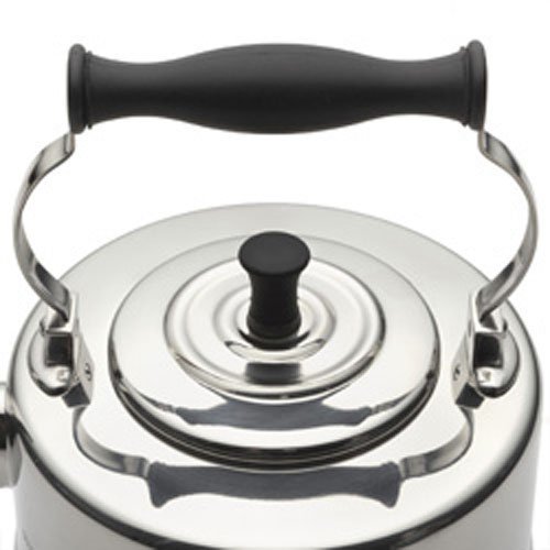 BonJour Tea Stainless Steel and Copper-Base Gooseneck Teapot / Teakettle, 2-Quart N4