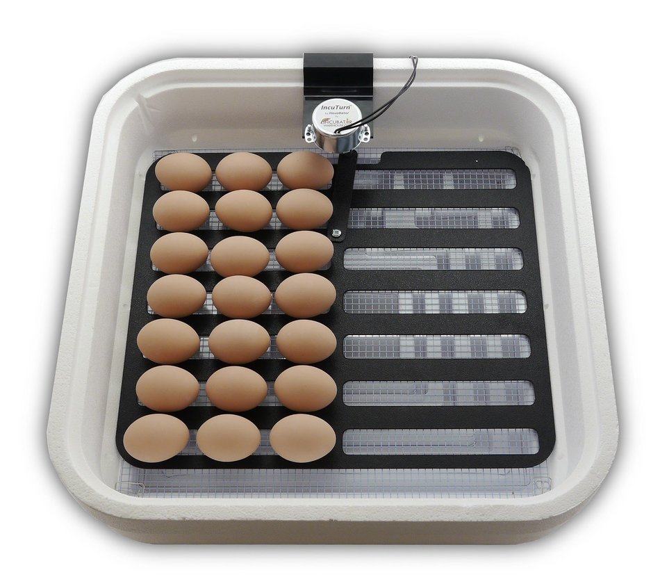 HovaBator Advanced Egg Incubator Combo Kit: includes incubator, fan kit, egg turner, digital thermometer/hygrometer N5