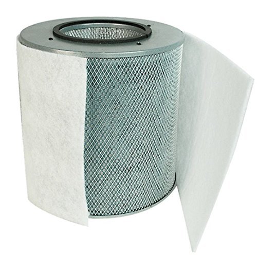 Austin Air FR402B Bedroom Machine 5-Stage Replacement Filter- White