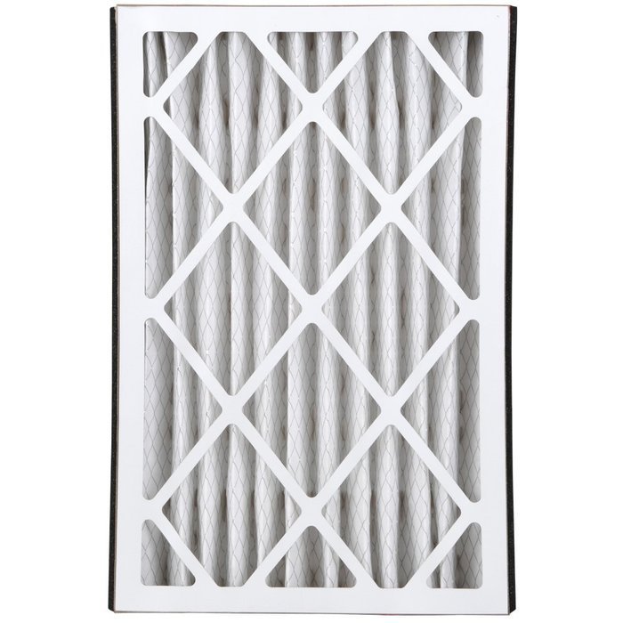Extreme Allergen Air Cleaning Filter, 3 Pack N21