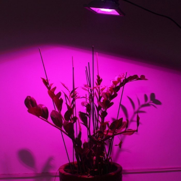 LVJING Led Grow Light Bulb, Hanging Flood light Kit, Waterproof, for Indoor Garden Greenhouse Hydroponic Plants... N41
