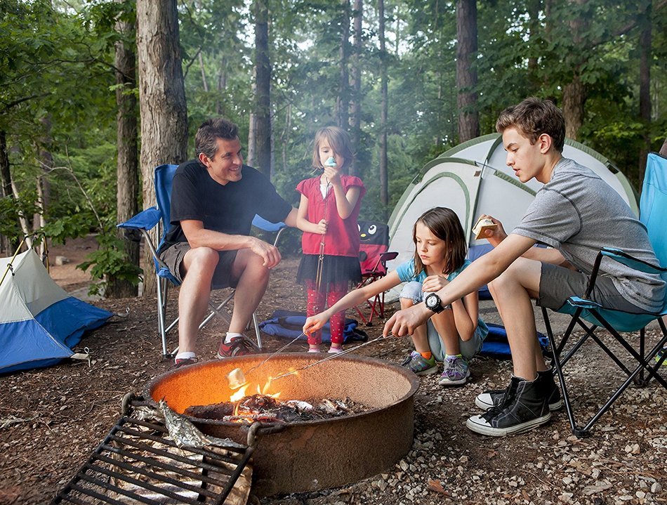 Light-a-Fire, Amazon's Best All-natural Fire Starter, 30 Pods with Container N4