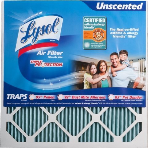 Lysol Air Filter Triple Protection 20 x 20 x 1 in. - Pack of 2