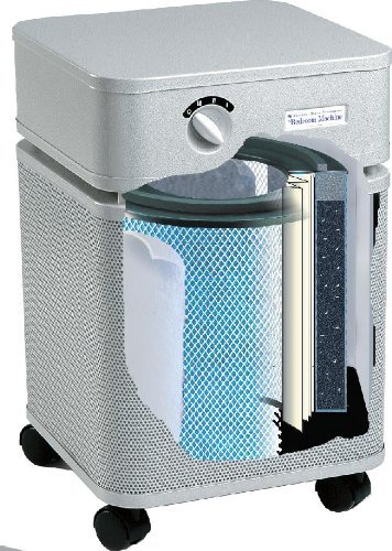 Austin Air Bedroom Machine Air Purifier HM402 (White) N3