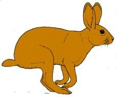 running hare or Rabbit, drawing