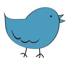 drawn blue bird profile twitter