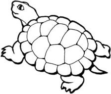 black and white sketch of a turtle