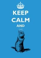 Keep Calm And Squirrel drawing
