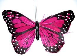 Ä°llustration of the Pink Butterflies