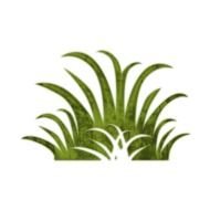 Lawn Care Clip Art N4