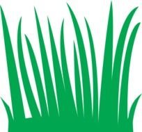 Grass Clip Art N12
