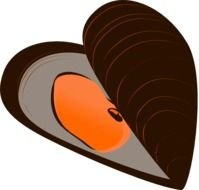 Mussels Clip Art
