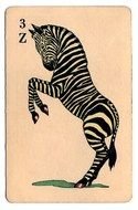 Black and white graphic drawing of the zebra clipart