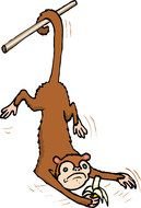 clipart of the hanging monkey
