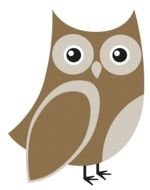 brown owl as picture for clipart
