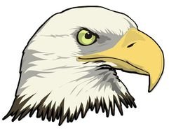eagle head on white background