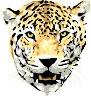 Jaguar Animal Cartoon Clip Art