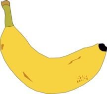 cartoon banana